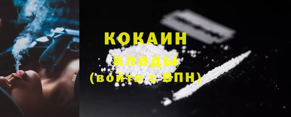 бошки Белокуриха