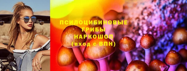 бошки Белокуриха